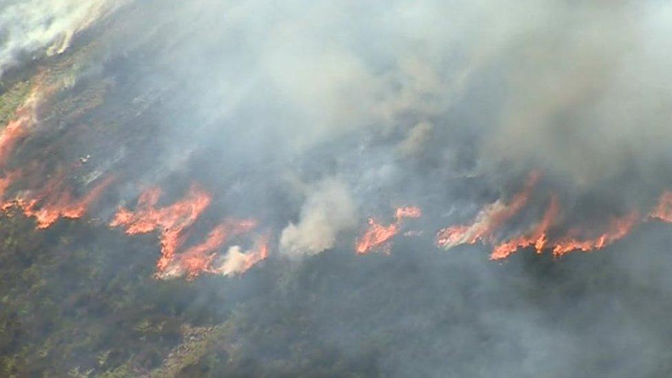 A gorse fire on Alltwen, Conwy