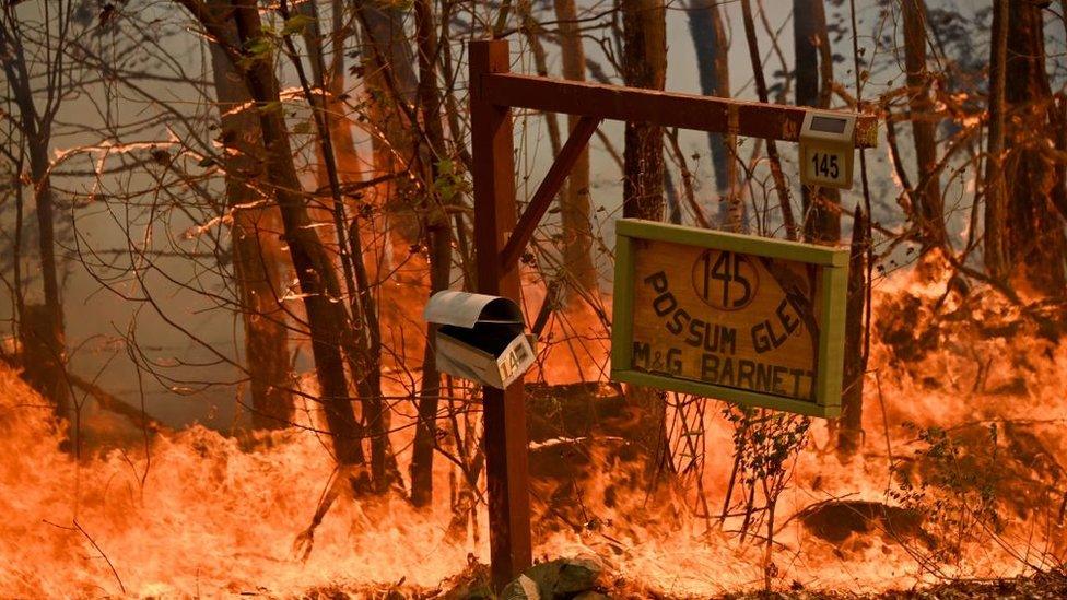 A bushfire burns outside a property near Taree, 350km north of Sydney on November 12