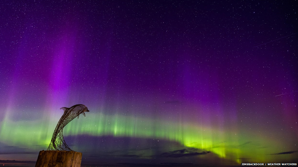 Silhouette of a dolphin statue with green and purple aurora in night sky