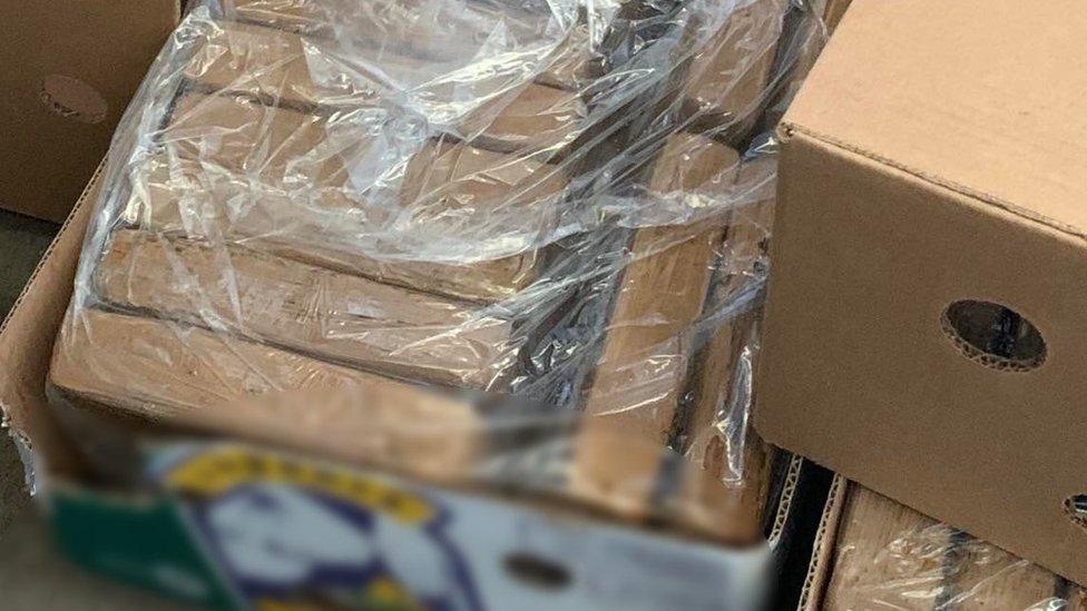 Banana boxes containing packages of cocaine