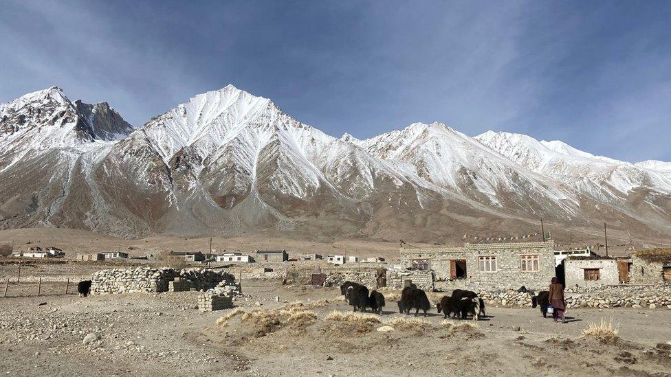 A village with animals and the mountains behind