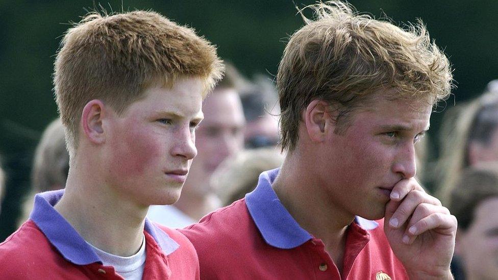 Prince Harry and Prince William