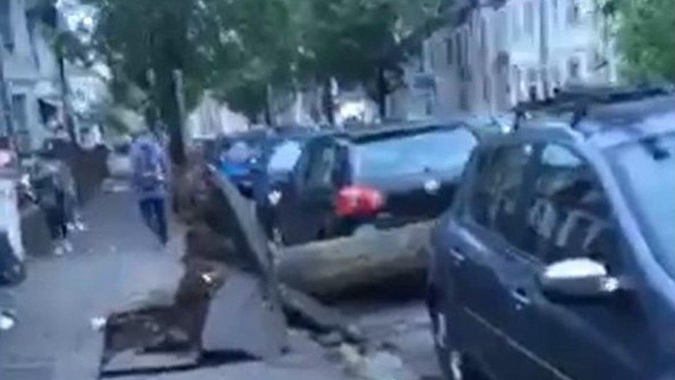 Tree down at Cathays Terrace in Cardiff