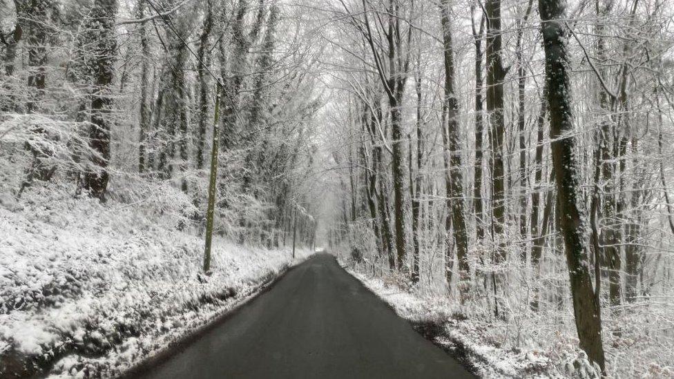 A road surrounded by snow-covered trees