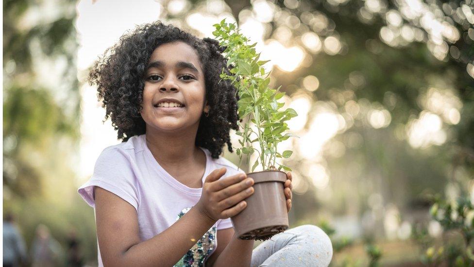 girl-holding-sapling