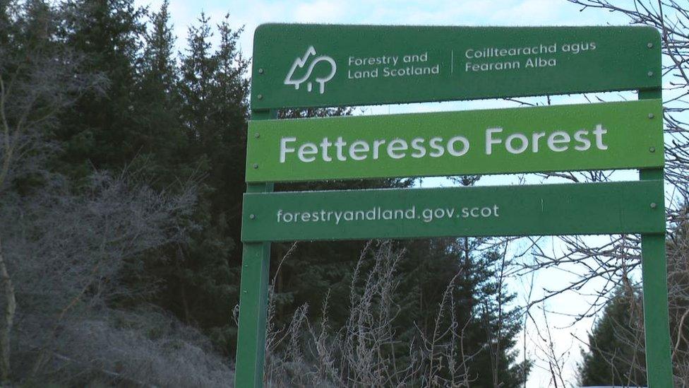 Fetteresso Forest