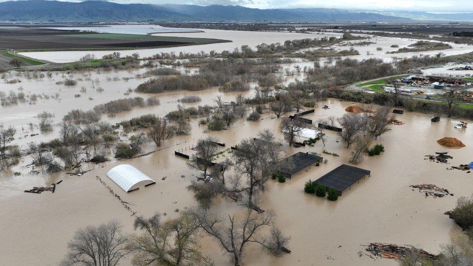 Floodwaters cover an agricultural area after the Salinas River overflowed its banks on January 13, 2023 in Salinas, California. Several atmospheric river events continue to pound California with record rainfall and high winds.