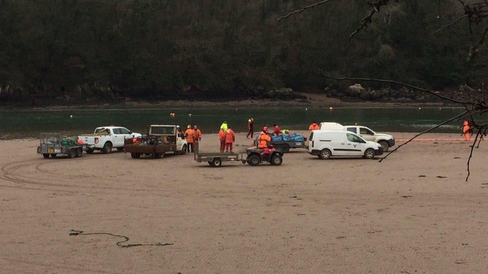 Workers on salt marshes in Sandy Haven