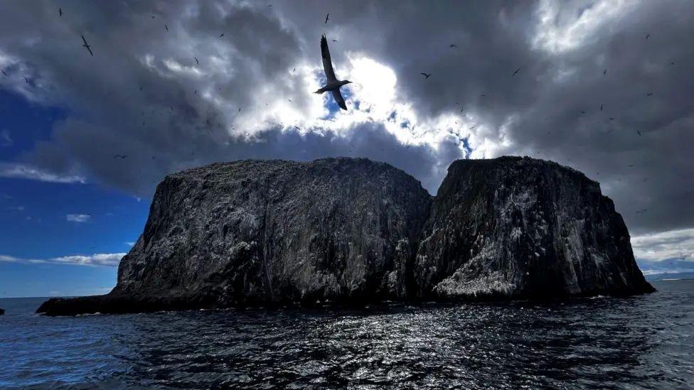 Bass Rock with foreboding clowds and circling gannets.