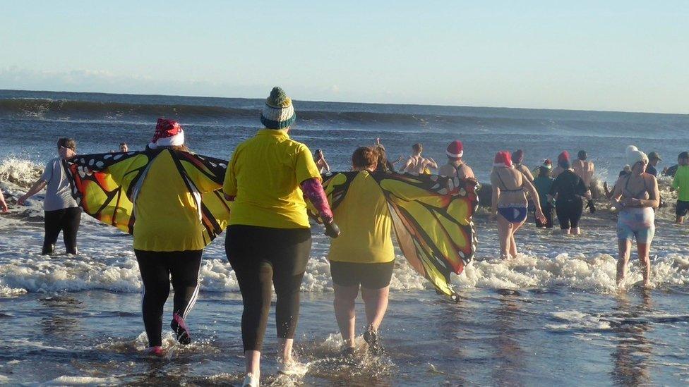 Dippers at Berwick upon Tweed