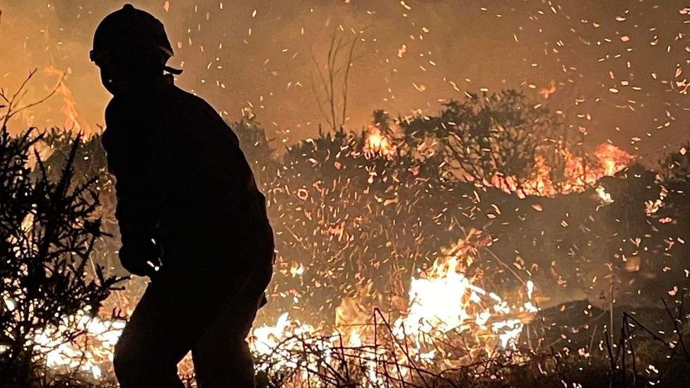 Wildfire on Cartmel Fell