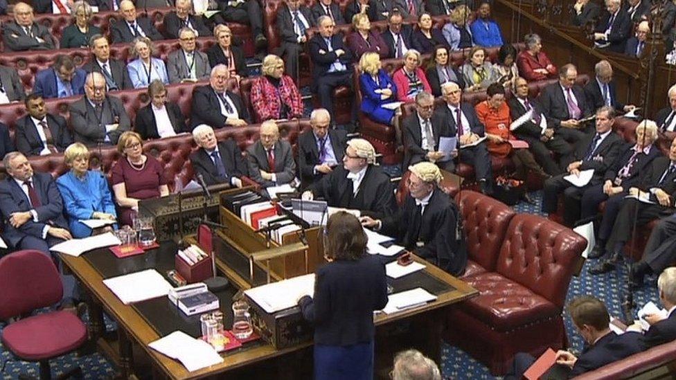 Peers in the House of Lords