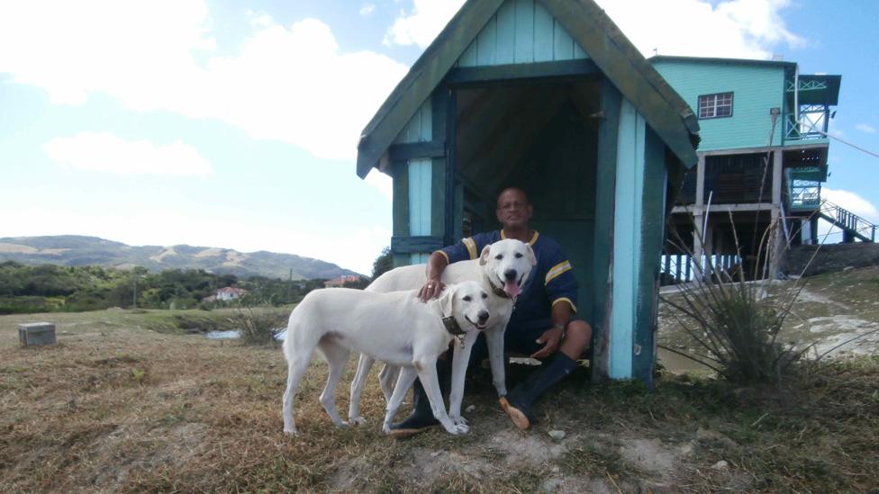 Lennox Francis with dogs Simple and Simon