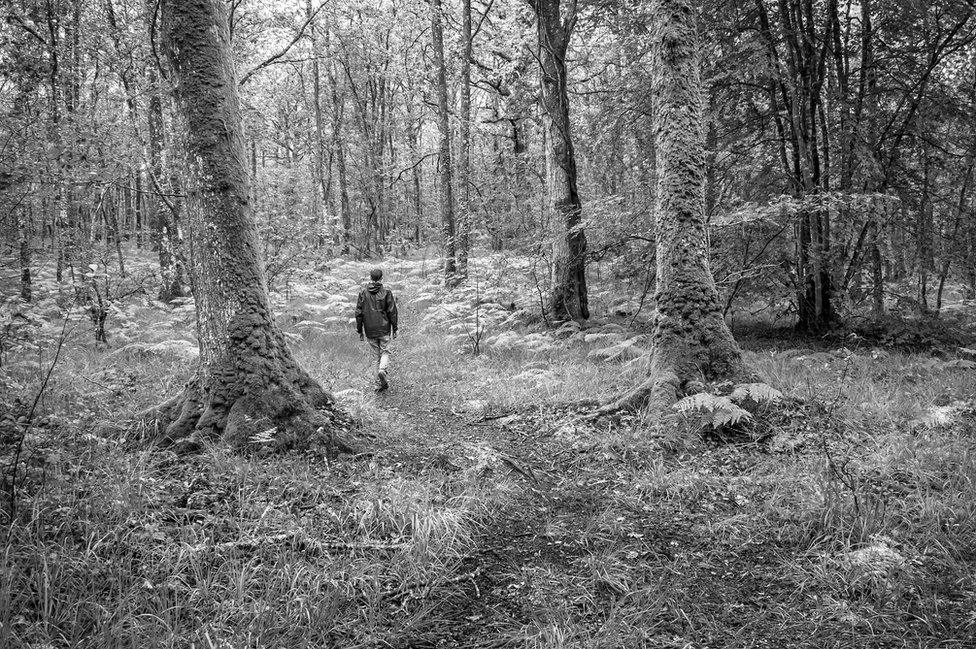 A man walking alone in a wood