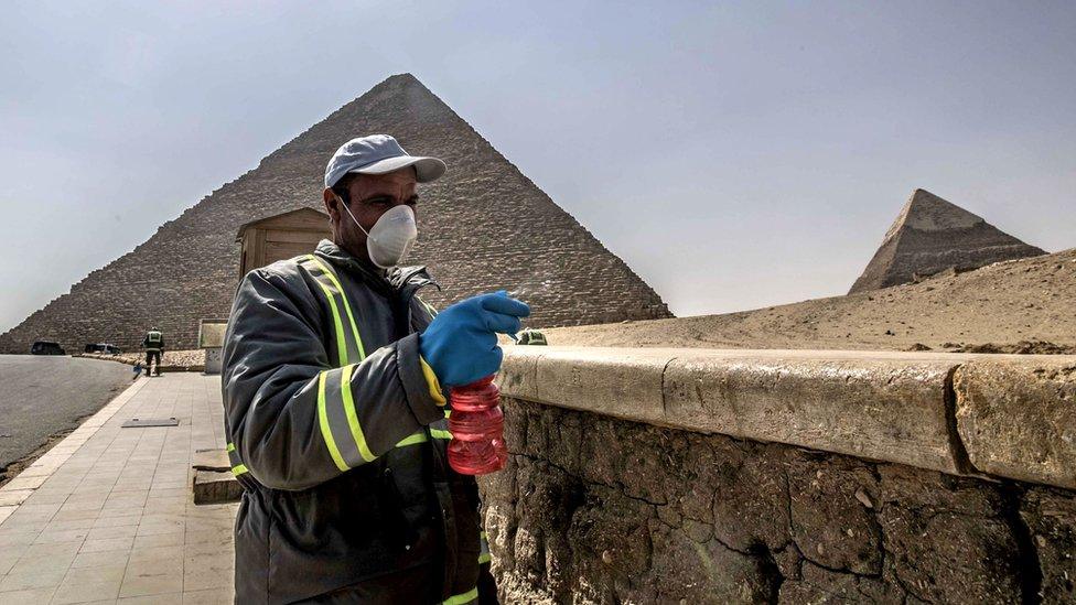 Worker disinfects site of Giza pyramids (file photo)