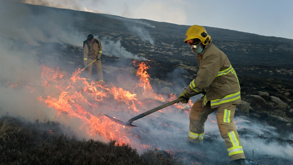 Firefighters