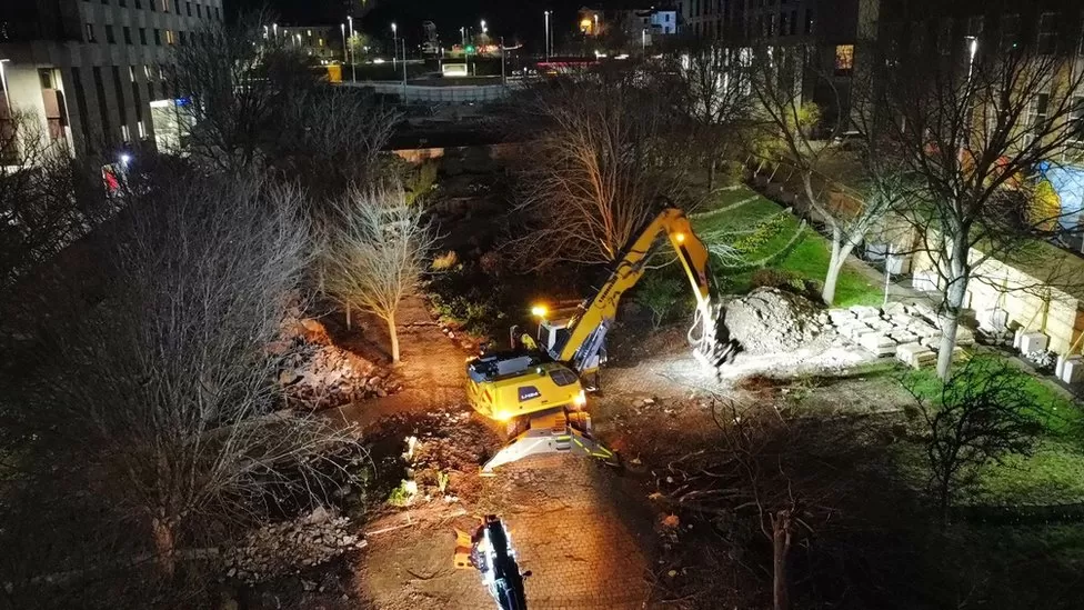 Trees being felled in Armada Way