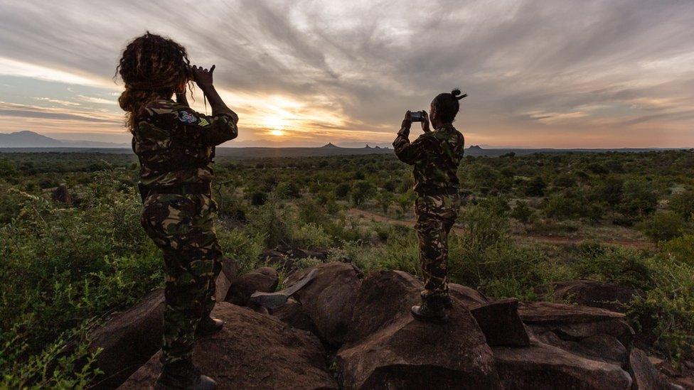 Rangers looking out for animals