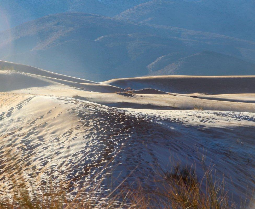 Picture dated January 8th shows a covering of snow and ice in the Sahara Desert near Ain Sefra in northwestern Algeria.