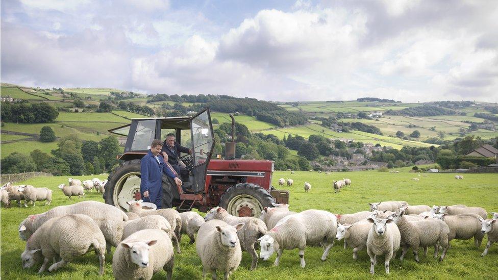 sheep farmers