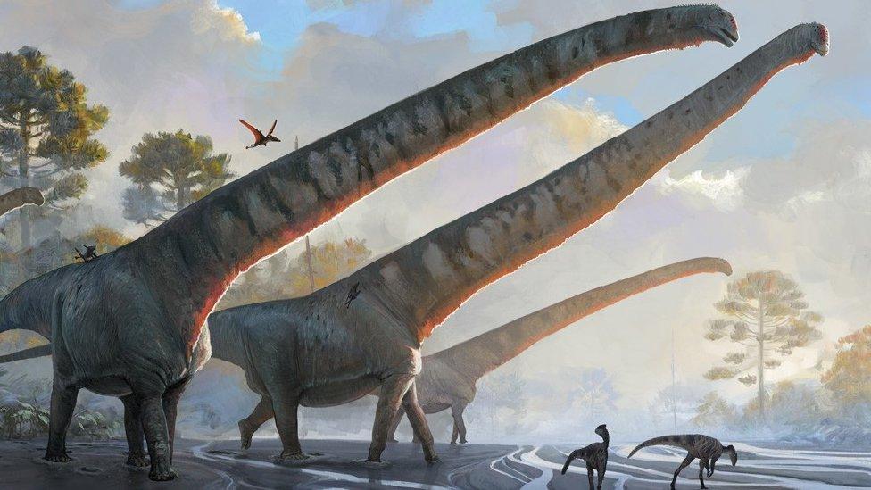 An artist's impression of the sauropod known as Mamenchisaurus sinocanadorum