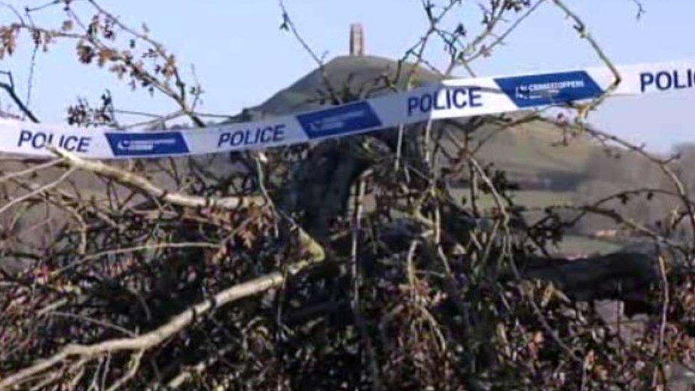 The Holy Thorn on Wearyall Hill was cut down by vandals in 2010