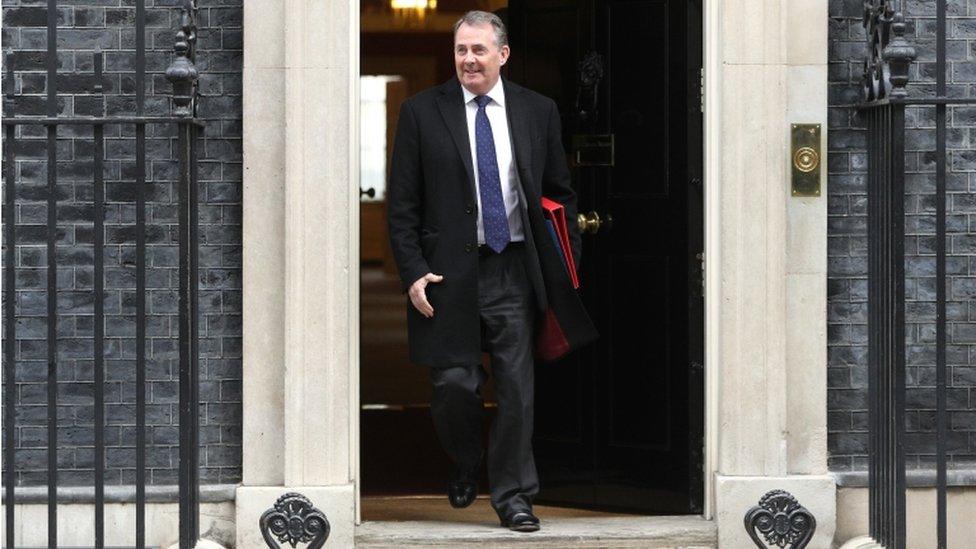 International Trade Secretary Liam Fox