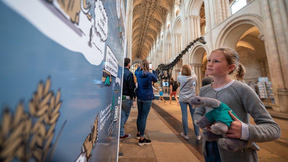 Visitor at Norwich Cathedral