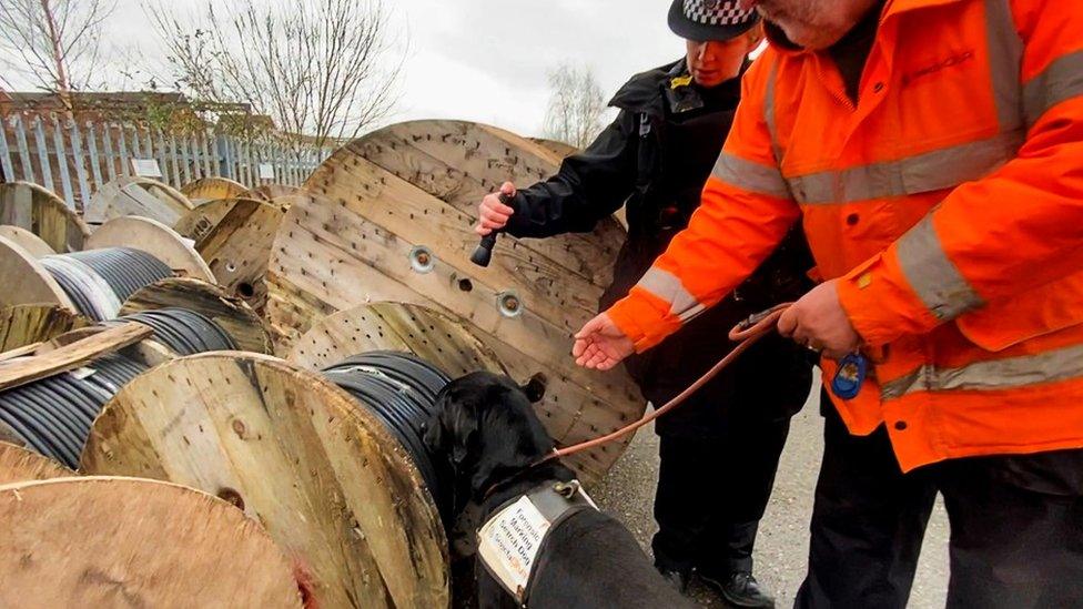 Dog sniffing cables with police officers