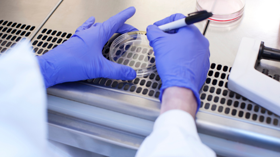 Stock photo of a Science Laboratory