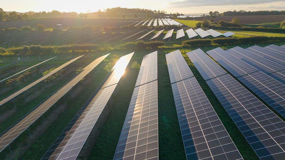 Rows of solar panels in green fields and between hedgerows, with the Sun glinting off the panels