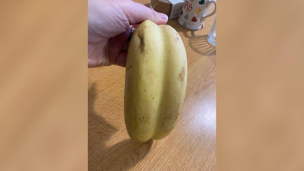 Kate's hand holding the double banana on brown table.