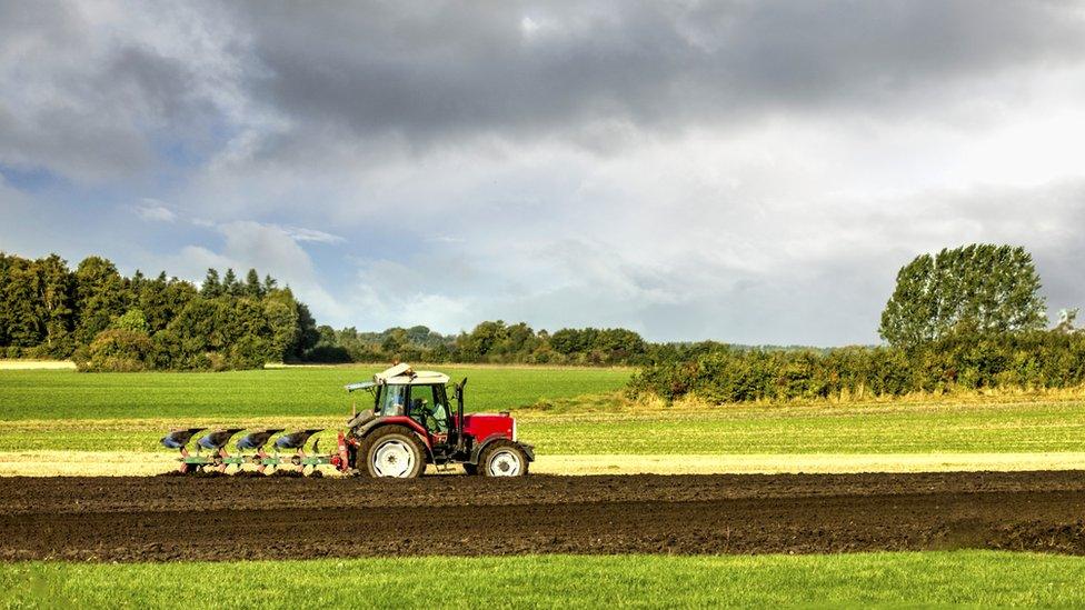 tractor in field