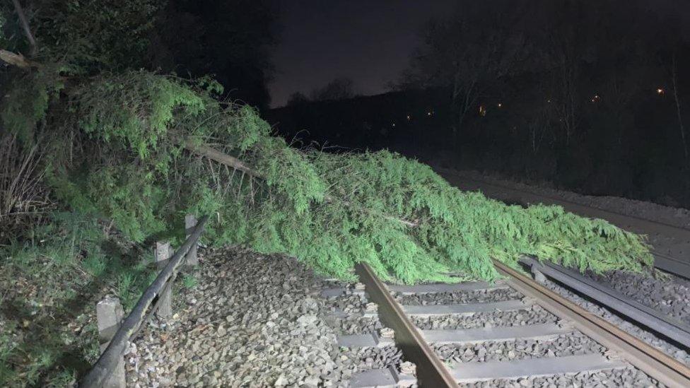 A tree down across a railway line