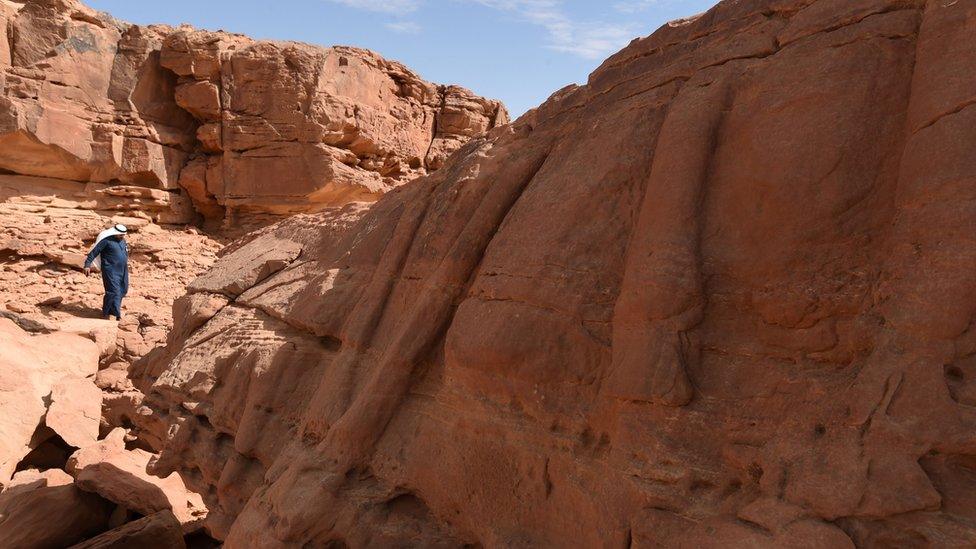 Legs of camels carved into rock faces in Saudi Arabia