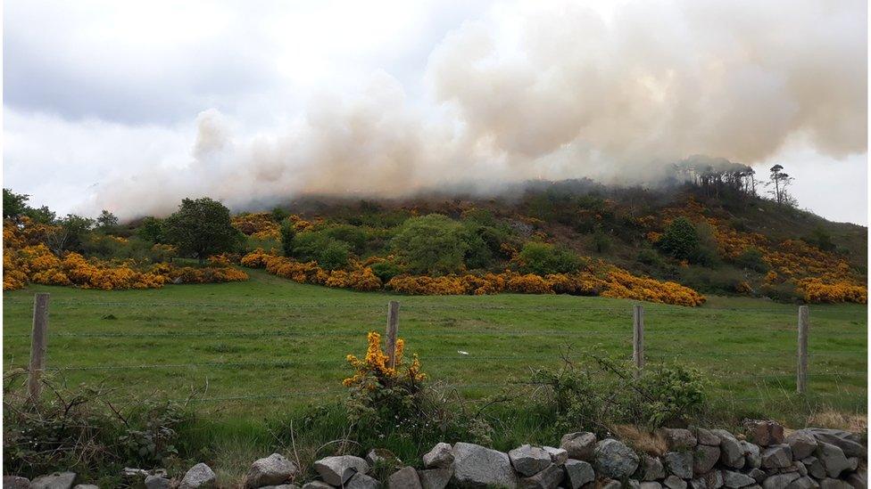 Gorse fire in Castlewellan