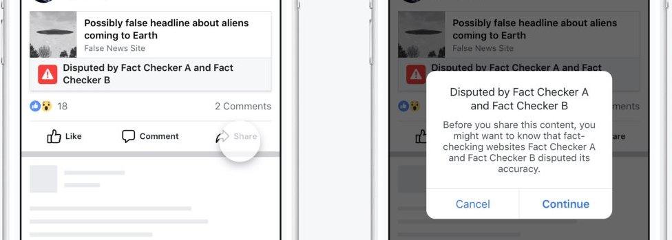 Facebook fake news flag