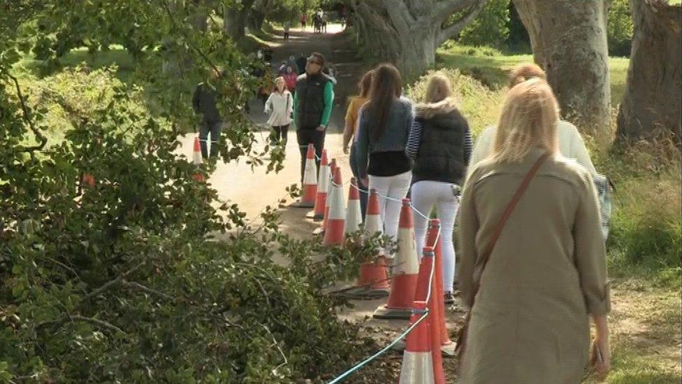 Tourists at the Dark Hedges on Wednesday