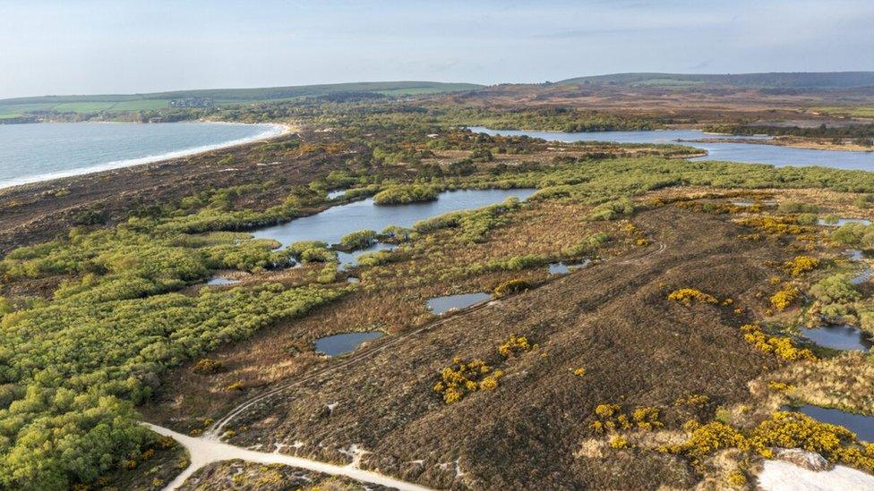 Purbeck National Nature Reserve from the air