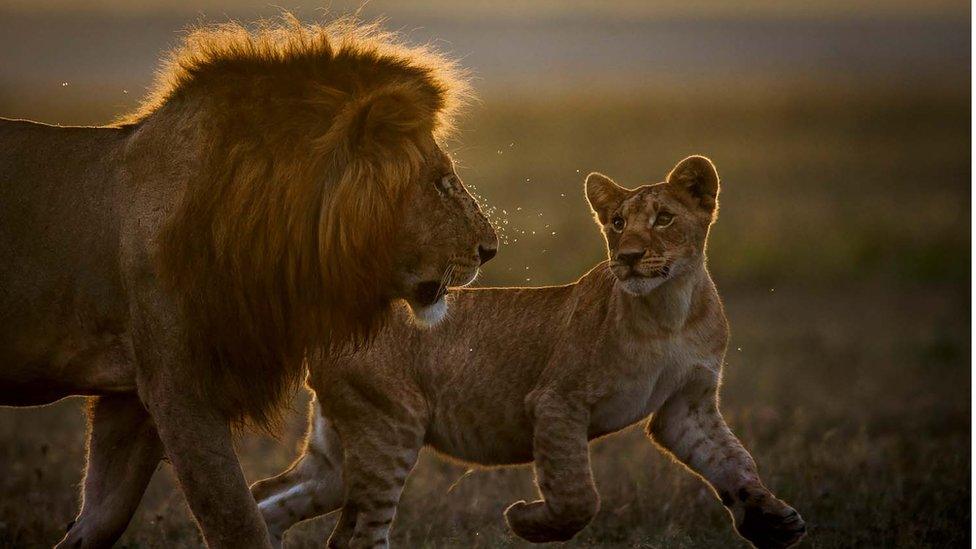 winning-photo-for-GDT-Nature-Photographer-of-the-year-2021-mammal