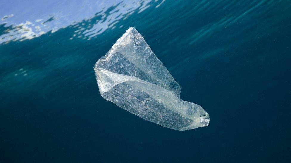 Plastic bag