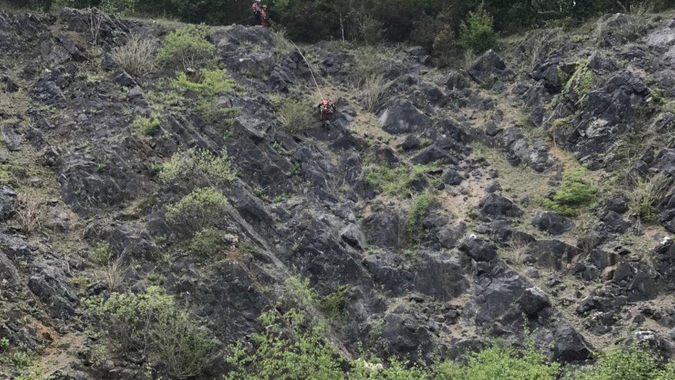 Fire service abseiling down quarry to reach the sheep