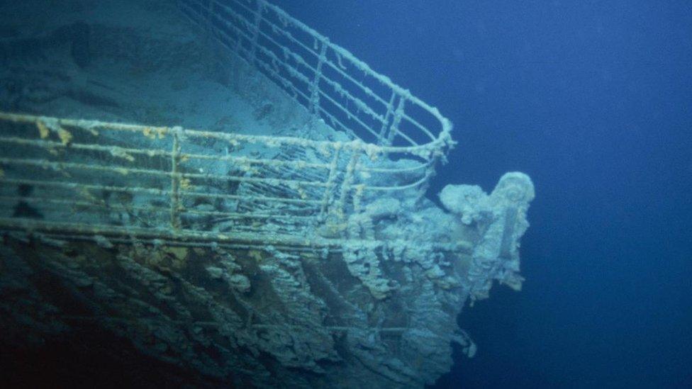 Rust-forming bacteria on the side of the shipwreck of the Titanic.