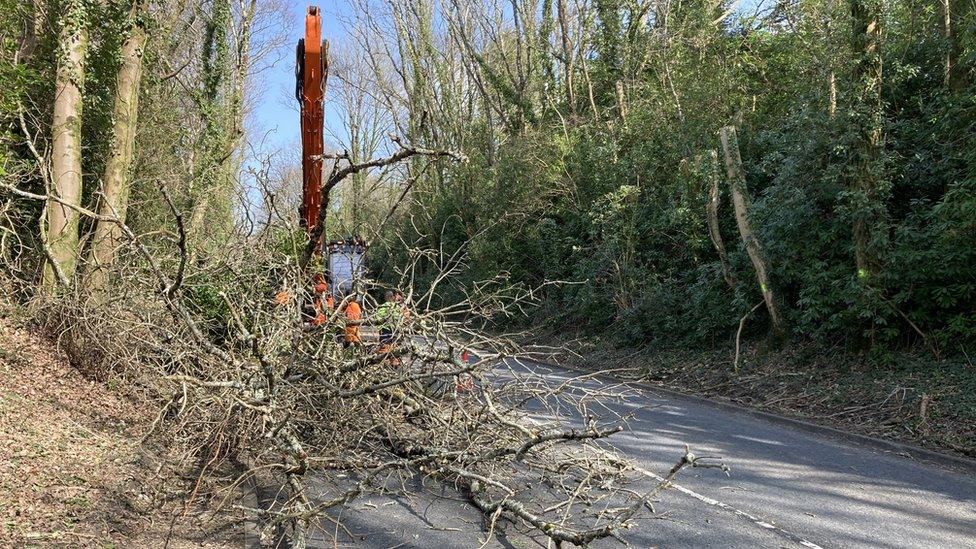 Brigau ar ffordd yr A4109, Crynant, Castell-nedd Port Talbot