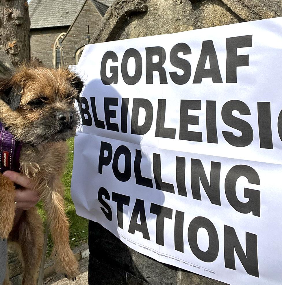 A dog is held next to a polling station sign at Llandaff North, Cardiff