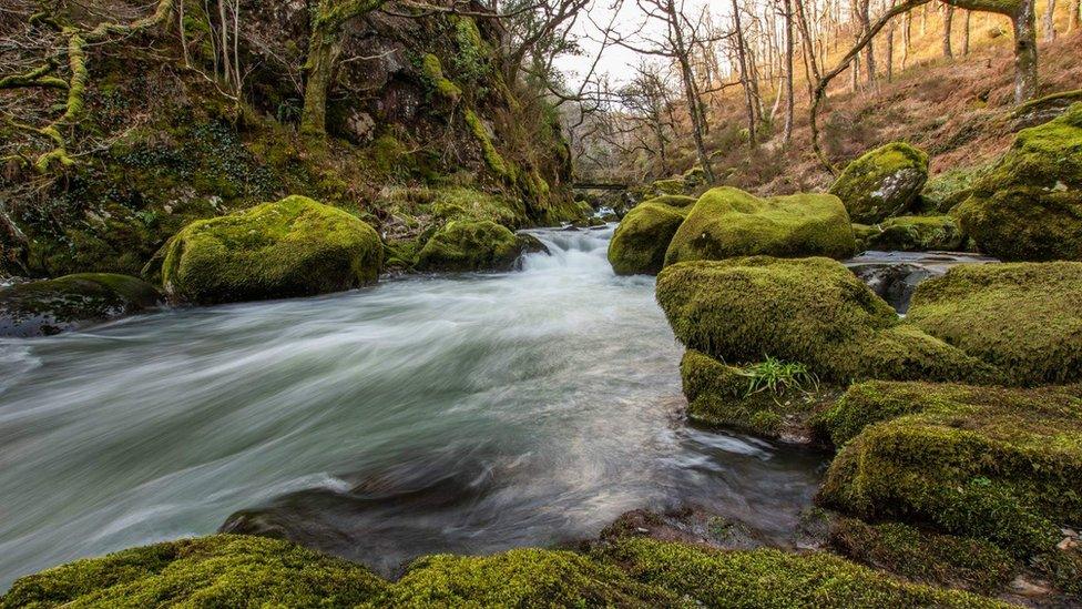 River running through Welsh woodland