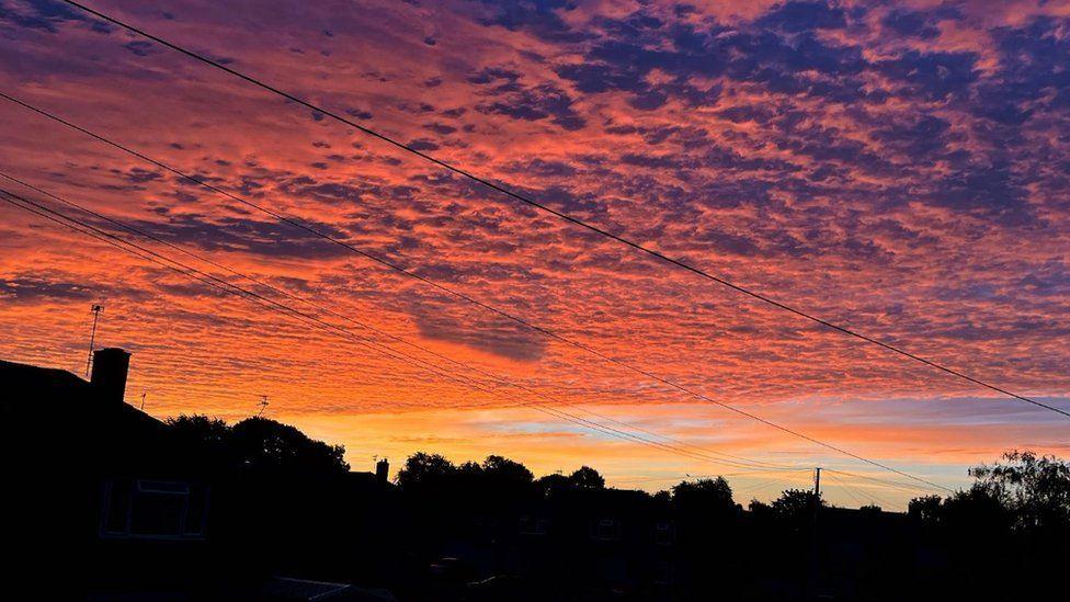 Black silhouettes of trees and buildings with corrugated orange and puple clouds above