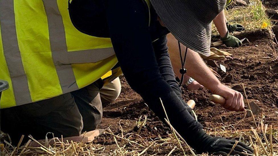 Archaeologists digging