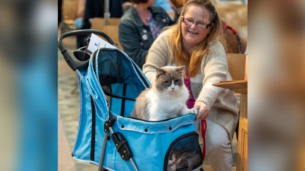 A cat and owner at Ely Cathedral