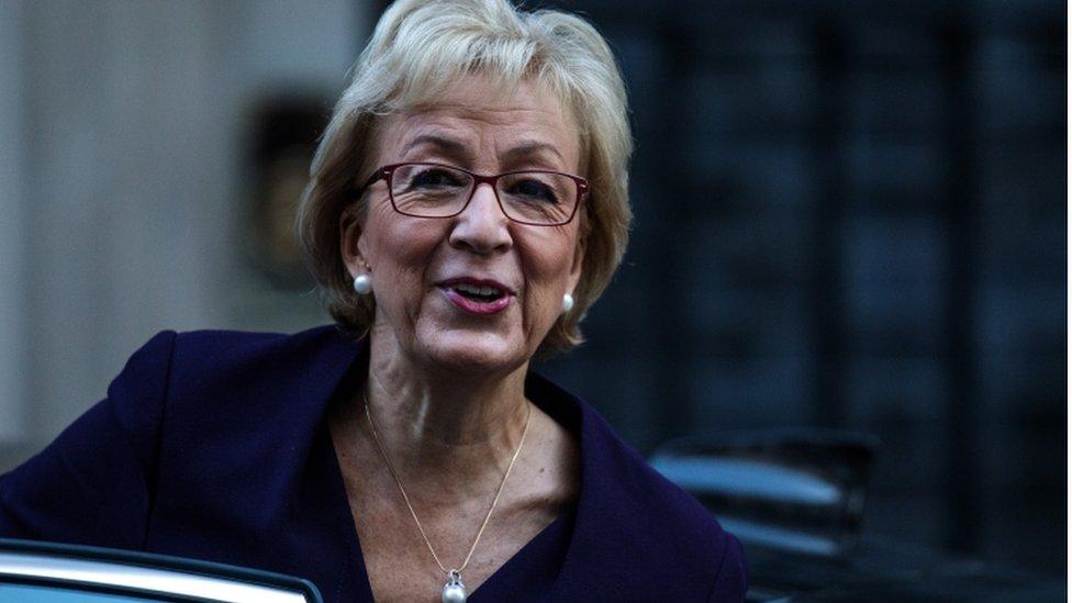 Andrea Leadsom